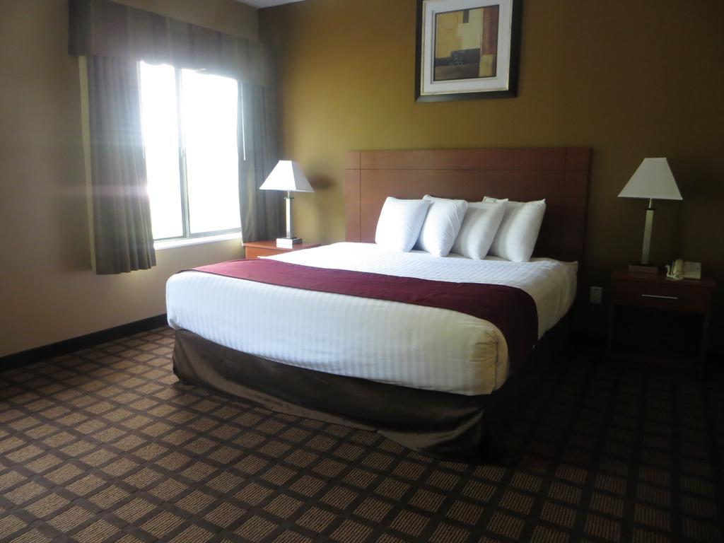 Baymont By Wyndham New Buffalo Szoba fotó